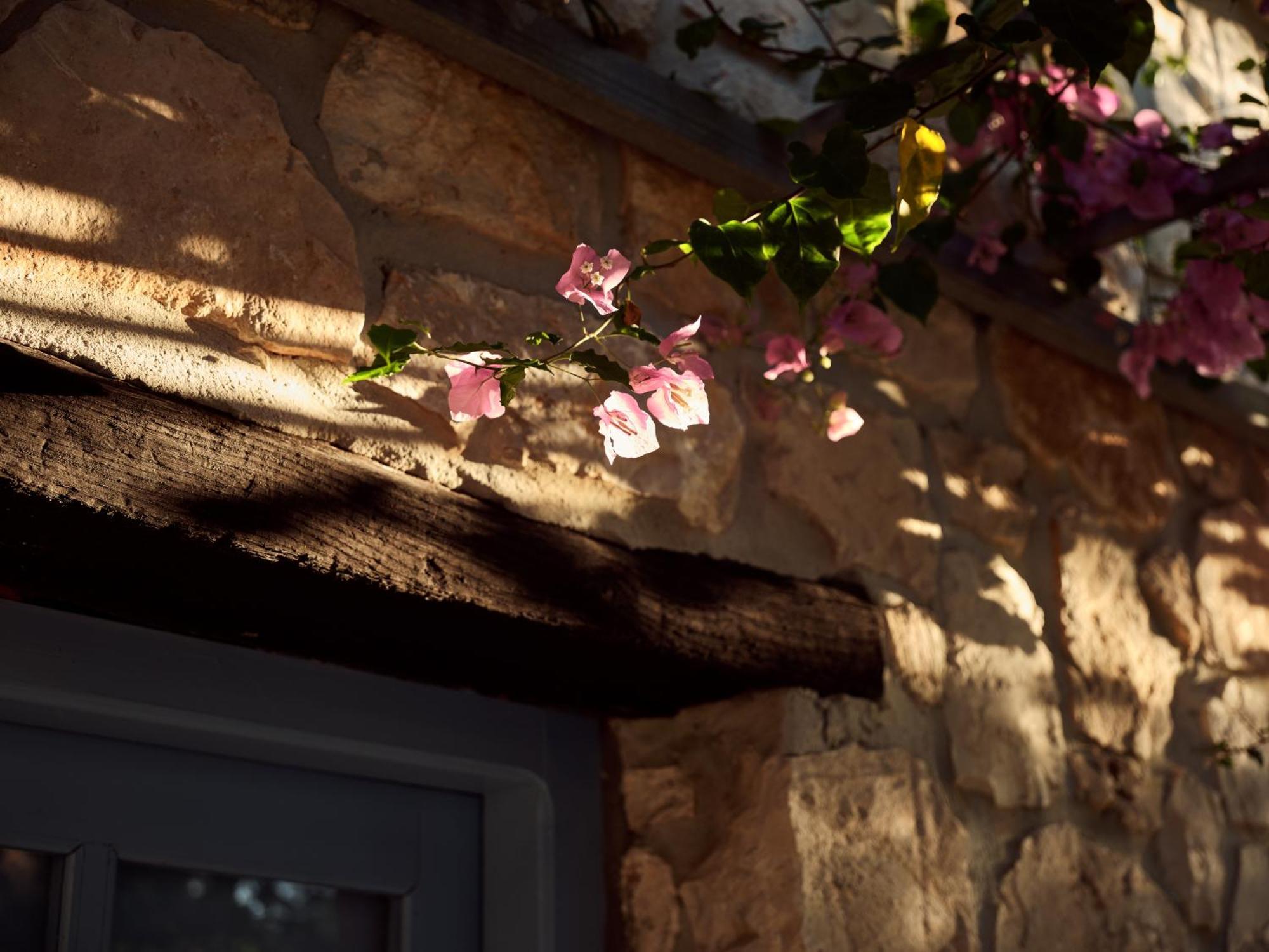 Strofilia Stone Residences Volímai Dış mekan fotoğraf